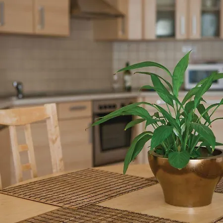 Bpm-apartment Kiraly Budapest
